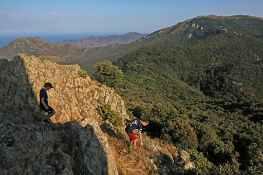 La hêtraie de la Massane, une forêt inexploitée par l'homme classée à l'Unesco