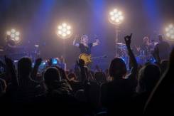 quand le live reprend vie.jpg