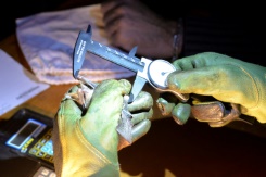 Entre périls et secrets, une vie de chauve-souris