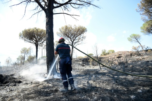 L'incendie sur la Côte d'Azur est maîtrisé, pas encore éteint