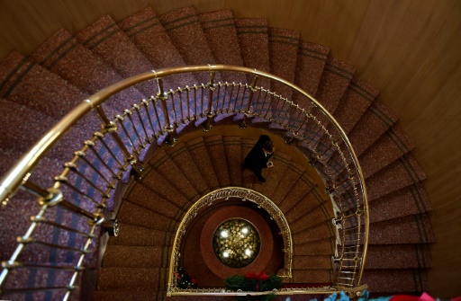 Des défenseurs de la presse, des Bélarusses ou Greta ? Au tour du Nobel de la paix