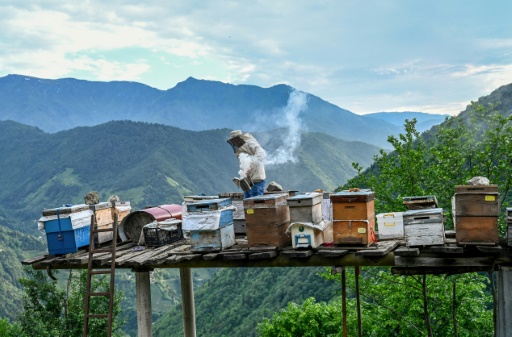 Donner une valeur économique à la nature pour mieux la protéger ?