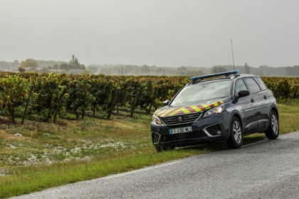 De Bordeaux à Hong Kong, les grands crus français aiguisent les appétits de la criminalité.jpg