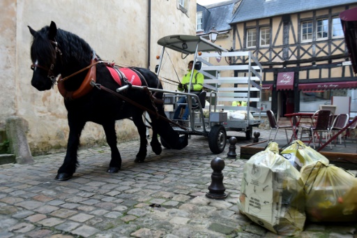 Au Mans, le cheval "Doupette" aux côtés des éboueurs