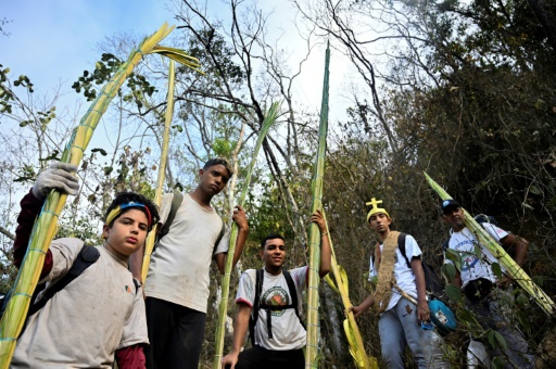 Venezuela : la tradition des "palmeros" descendant des rameaux de la montagne