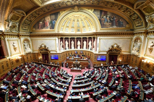 Feu vert du Sénat au projet de loi sanitaire, avec possibilité de contrôle des voyageurs