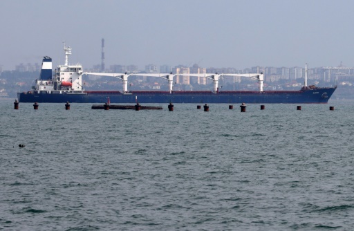 Ukraine : la reprise des exportations de céréales saluée unanimement