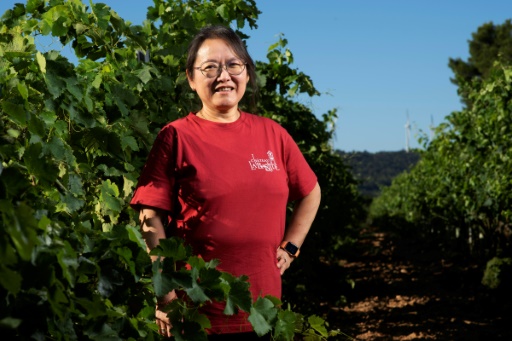Nan Ping Gao, une Chinoise enracinée dans les vignes françaises