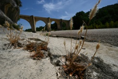 Une nouvelle vague de chaleur s'installe sur la France