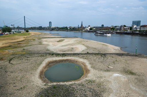 Sur le Rhin assoiffé, le transport fluvial au régime sec