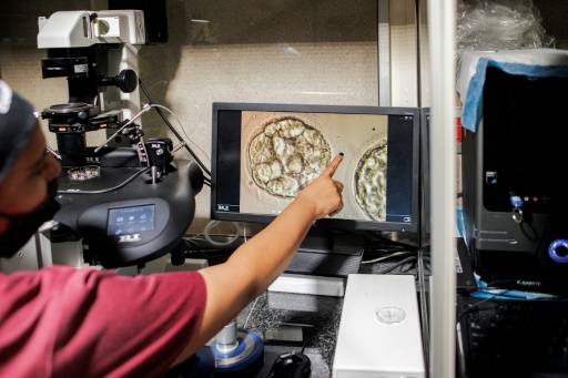 L'infertilité touche une personne sur six selon l'OMS