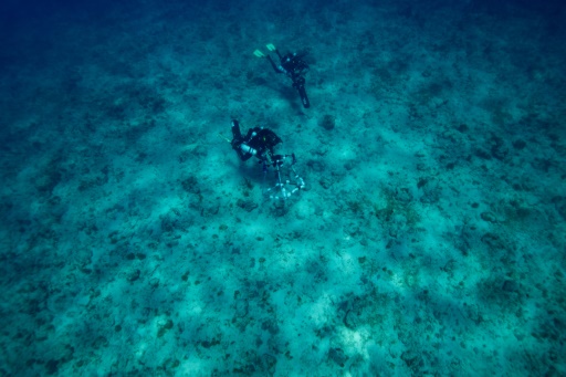 En Guadeloupe, l'expédition Under the Pole explore la vie des grandes profondeurs