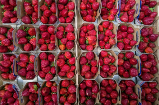 Sur les étals parisiens, les fruits défendus de l'inflation