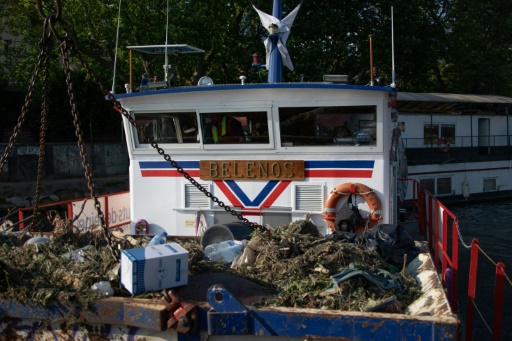 Le Bélénos, infatigable guérisseur des eaux de la Seine